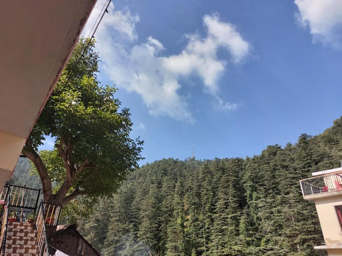 Shimla Pines Homestay ภายนอก รูปภาพ
