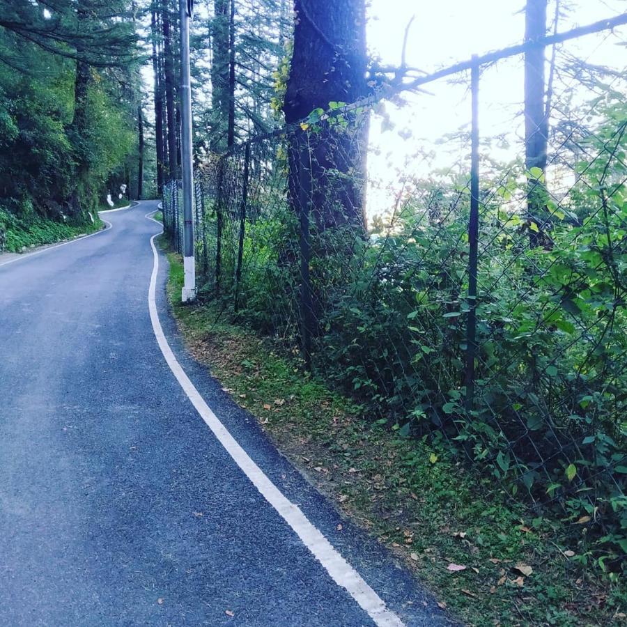 Shimla Pines Homestay ภายนอก รูปภาพ
